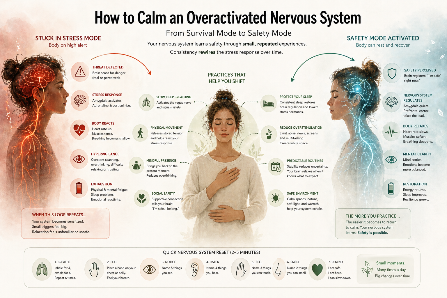 How to calm an overactivated nervous system diagram
